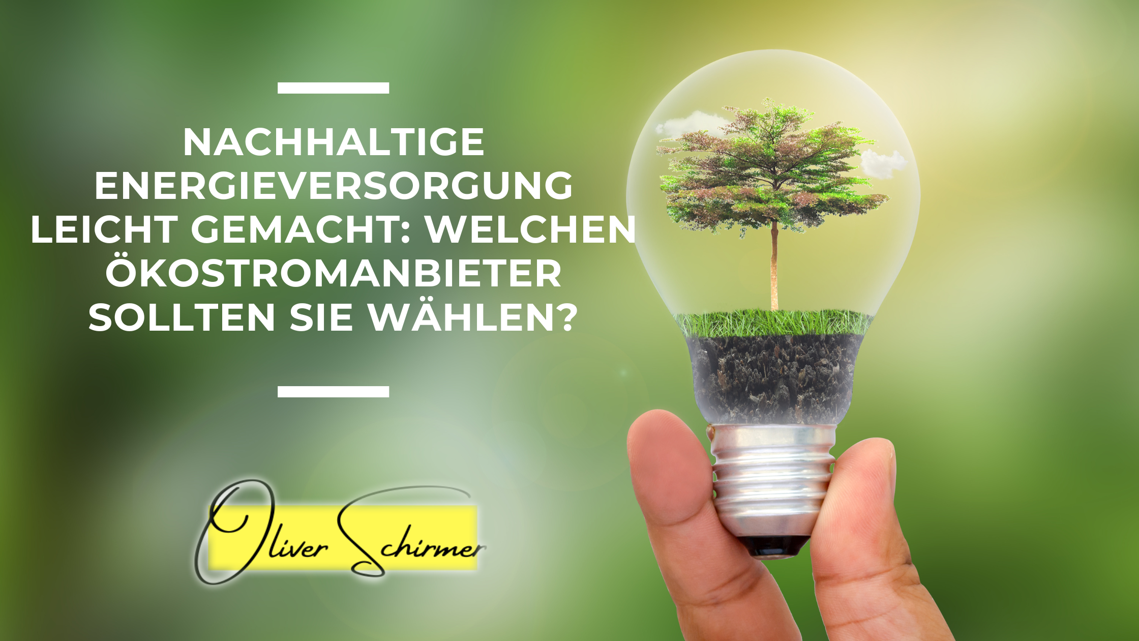 welchen ökostromanbieter